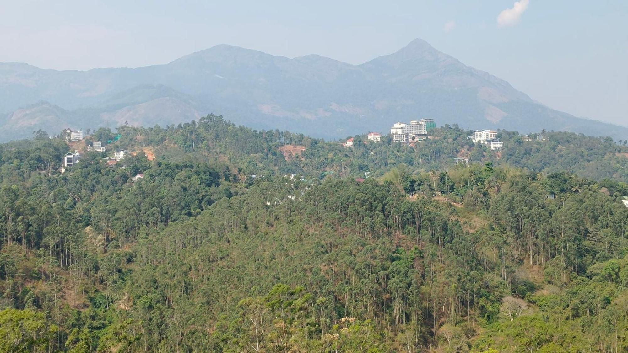 Nature Season Holidays Munnar