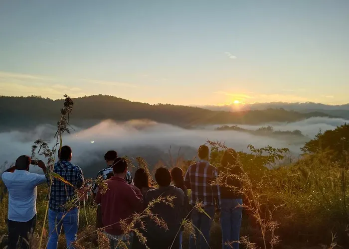 Nature Season Holidays Munnar