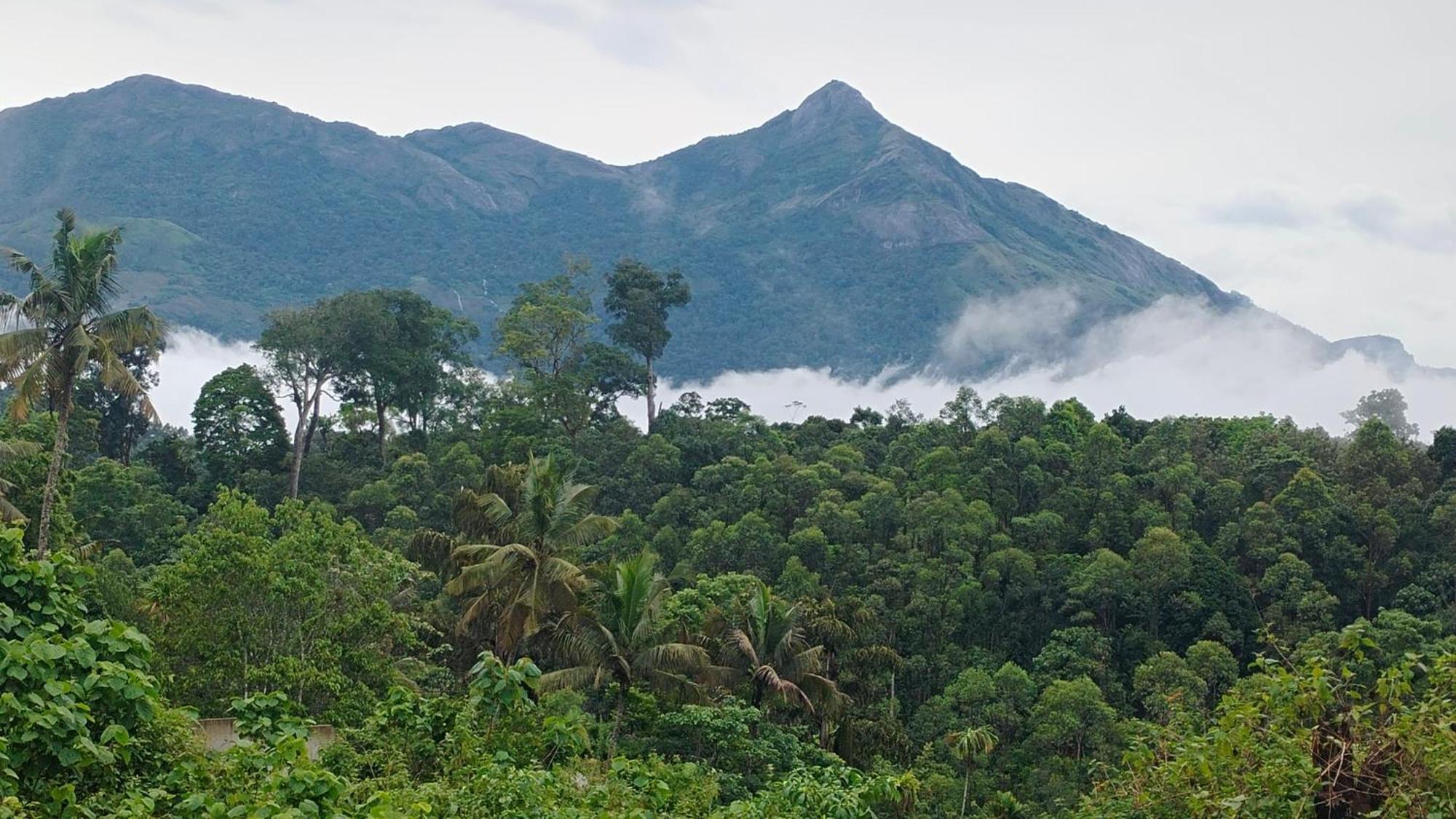 Nature Season Holidays Munnar * Anachal