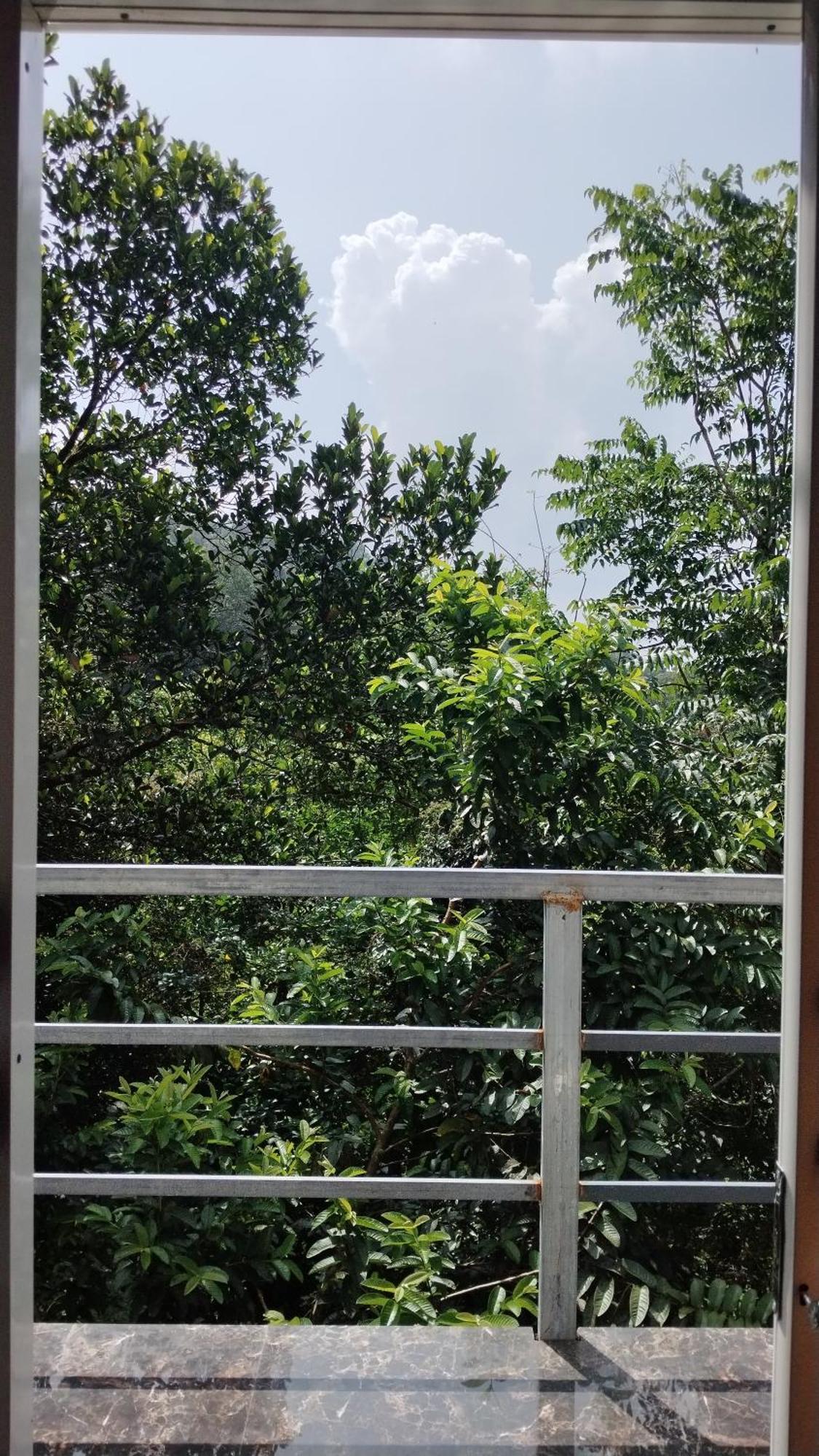 Nature Season Holidays Munnar Holiday home