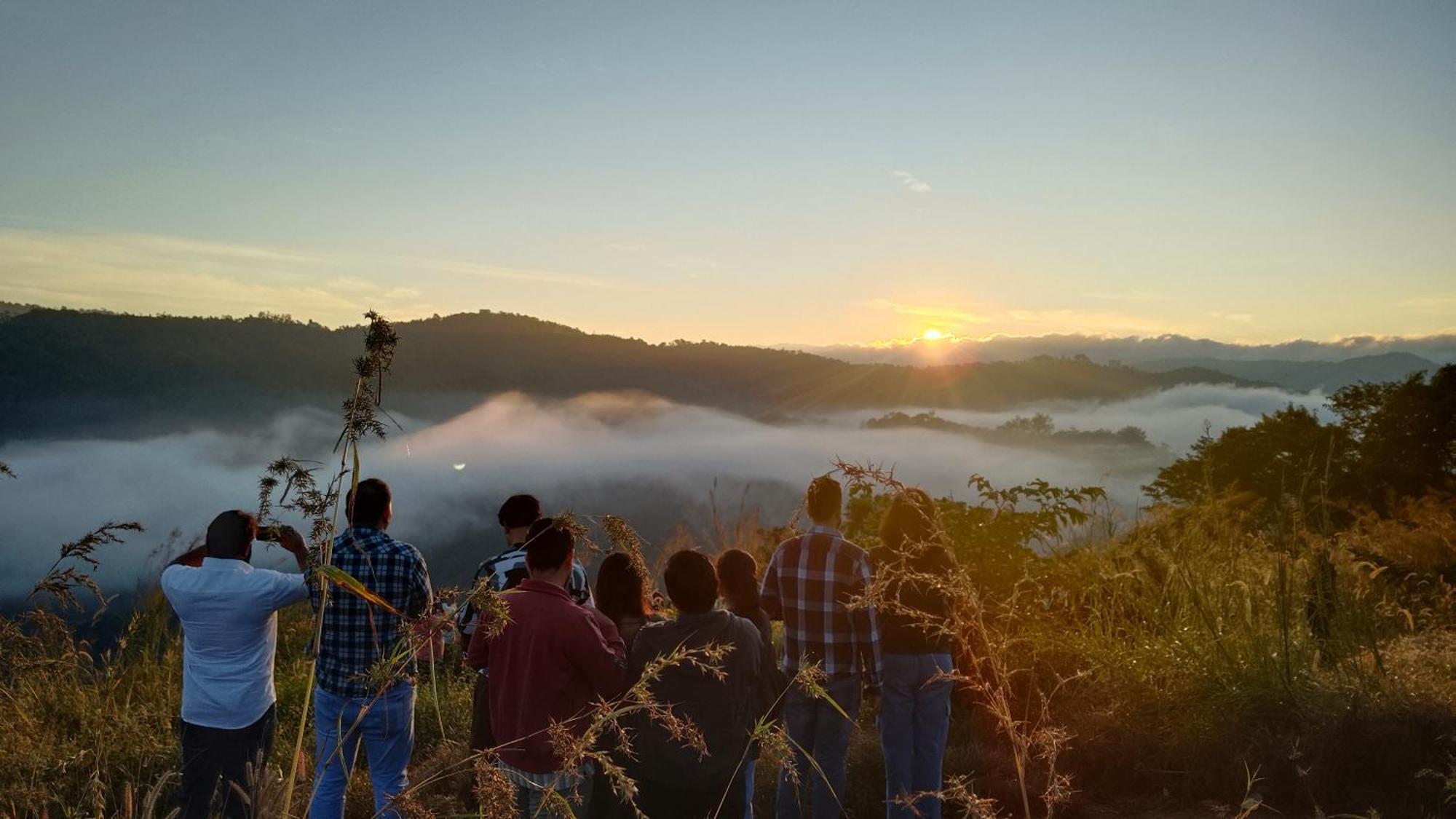 Nature Season Holidays Munnar * Anachal
